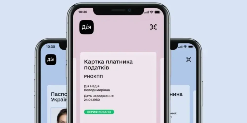 Інтерфейс системи «е-Консул» для оформлення податкового номера за кордоном