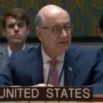 Ден Негреа виступає на засіданні Ради Безпеки ООН